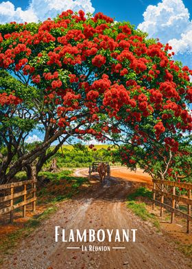 La Reunion-preview-1