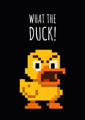 Animals Humor-preview-0