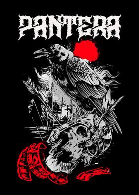 Music Sport Celebrity-preview-2