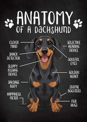 Dog Anatomy-preview-1