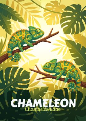 Animal Collections-preview-0