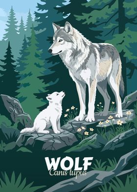 Animal Collections-preview-3