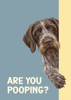 Funny Animal Art-preview-0