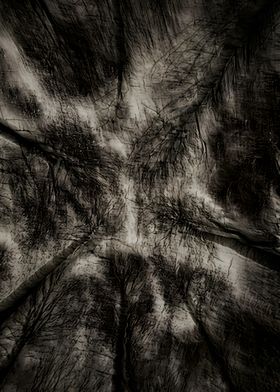 Digital Art-preview-3