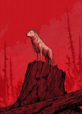 Japanese And Asian-preview-2