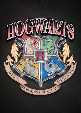 Hogwarts Seekers Collection-preview-2