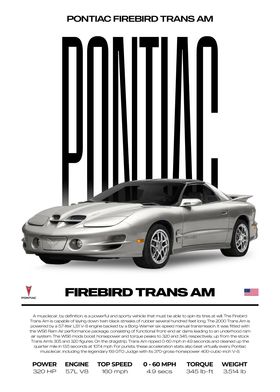 Auto-preview-2