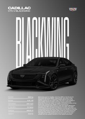 Auto-preview-3