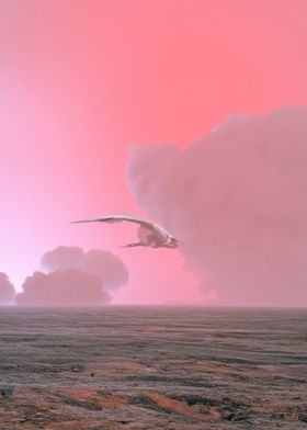 Dreamy Minimalism-preview-2