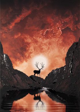 Natural reflections