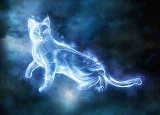 Cat Patronus