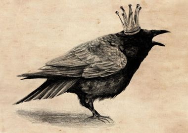 Crow in Crown