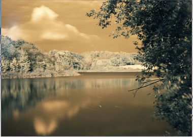 Infrared photography I