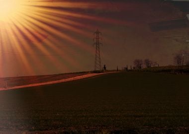 cultivated field at sunset