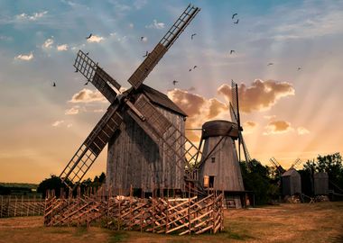 Traditional windmills in Estonia