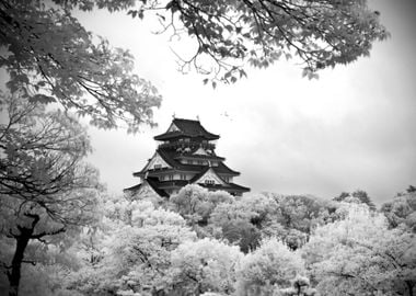 Osaka castle