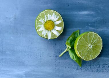 Lime Daisy and Basil