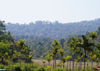 COASTAL SOUTH INDIA