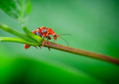 Just hanging on