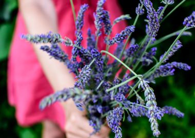 Lavender bouquet and pink dress