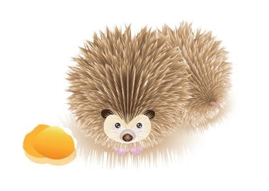 Hedgehog eat