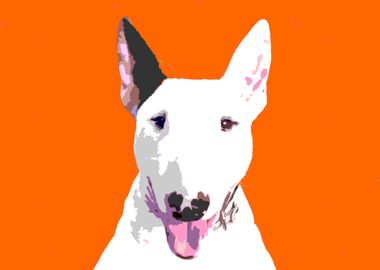 bull terrier