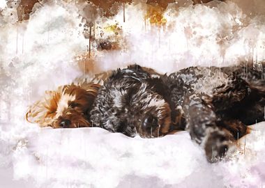 Dogs watercolor