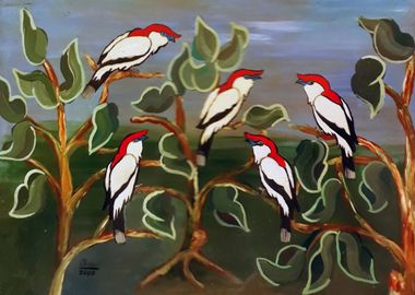 Cardinals