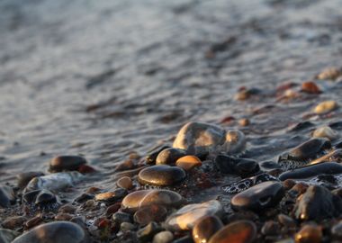 Steine der Ostsee