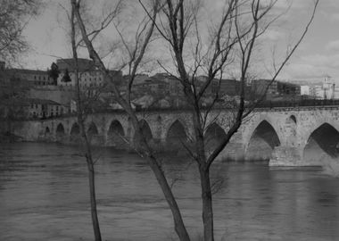 Zamora Roman Bridge