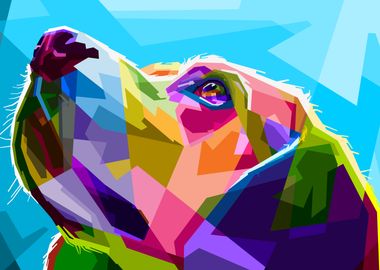 Dog hopes on pop art wpap