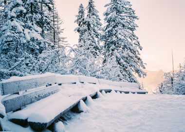 Benches In Snow