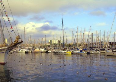 Yachts in Barcelona