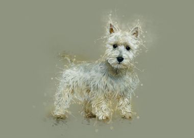 West HighlandcTerrier