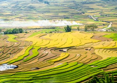 Nice view of rice terraces