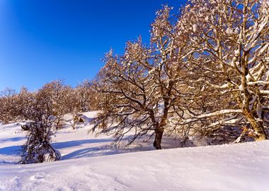 Winter world in Spain