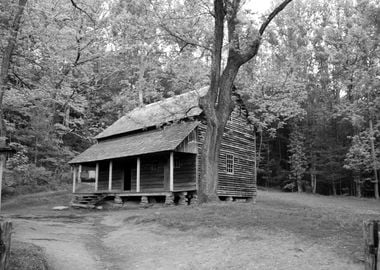 Tiptons Place cabin