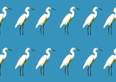 Pop egrets