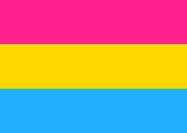 Pansexuality Pride Flag