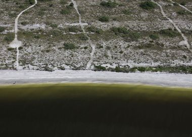 Southwest Florida Red Tide