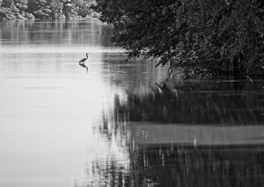 Wheeler Wildlife Refuge