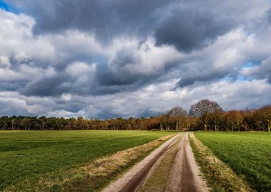 Dutch Landscape, Maashorst