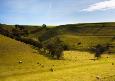 Large Hills