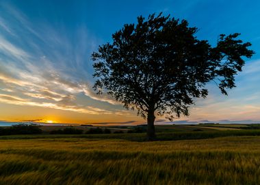 Meeting Sunset