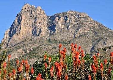 Alicante mountain area