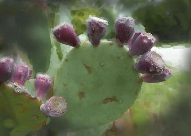 Cactus with Tunas