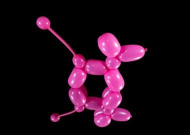 Pink Poodle Balloon Mirror