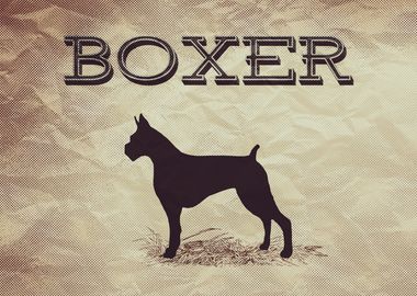 Retro Boxer