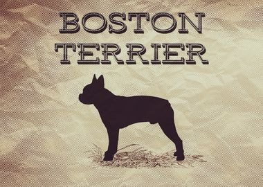 Retro Boston Terrier