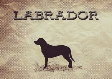 Retro Labrador